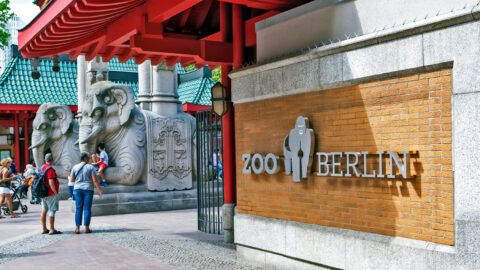 Berliner Zoo mit Rundflug entdecken